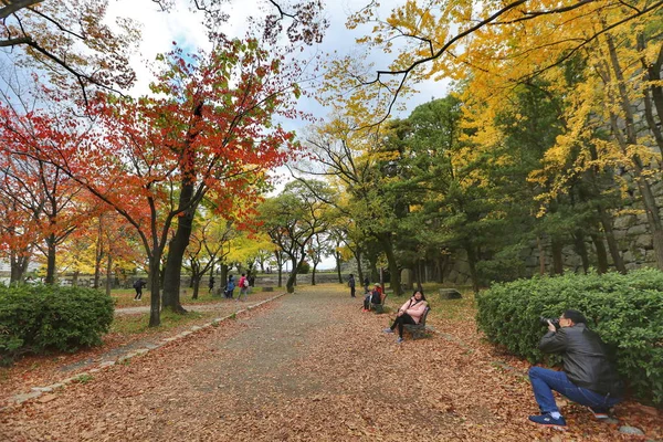 Kínai Turisták Élvezik Szép Őszi Lombozat Gingko Fák Juharfák Utca — Stock Fotó