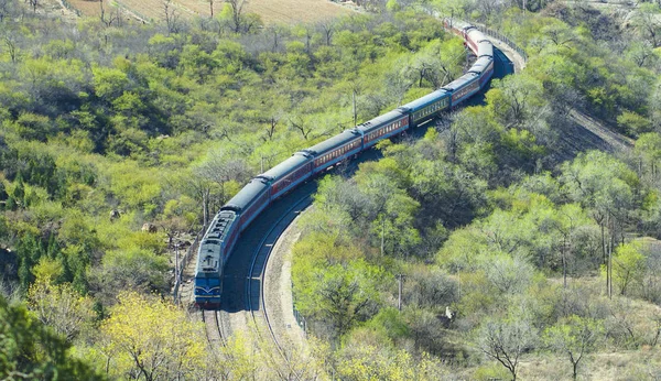 Ein Grüner Personenzug Fährt Durch Den Wald Peking China April — Stockfoto