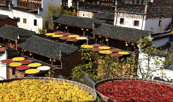 Paprika Mais Chrysanthemenblüten Teesamen Kaki Und Andere Ernten Werden Auf — Stockfoto