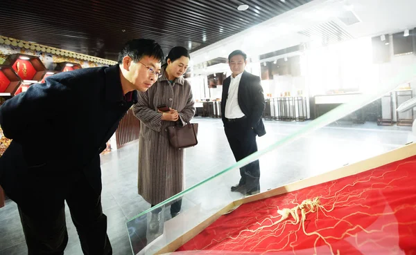 Chinese Visitors Look King Ginsengs Changbai Mountain Wuzhen Internet Hospital — Stock Photo, Image