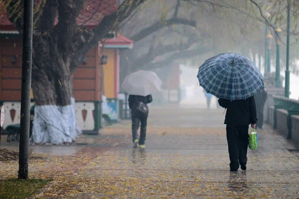 Chińskich Obywateli Posiadających Parasole Chodzić Ulicy Dniu Lidong Początek Zimy — Zdjęcie stockowe