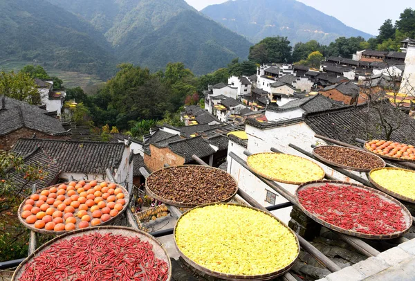 Hot Peppers Corns Chrysanthemum Flowers Tea Seeds Persimmons Other Harvests — Stock Photo, Image