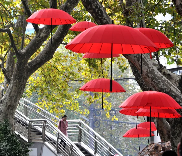Pohled Červené Deštníky Displeji Během Padlých Listů Show Jueyang Road — Stock fotografie