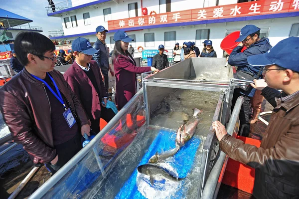 Čínské Jeseky Uvolňují Řeky Yangtze Městě Wuhan Střední Čínské Provincii — Stock fotografie