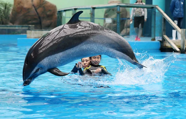 Menina Autista Chinesa Chenchen Interage Com Golfinho Sob Ajuda Treinador — Fotografia de Stock