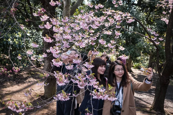 Turistas Maioria Dos Quais São China Tirar Fotos Flor Cereja — Fotografia de Stock