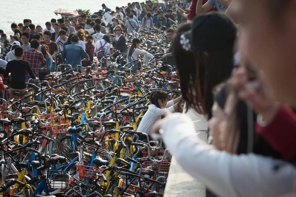 Turistas Bicicletas Serviços Compartilhamento Bicicletas Lotam Parque Baía Shenzhen Durante — Fotografia de Stock