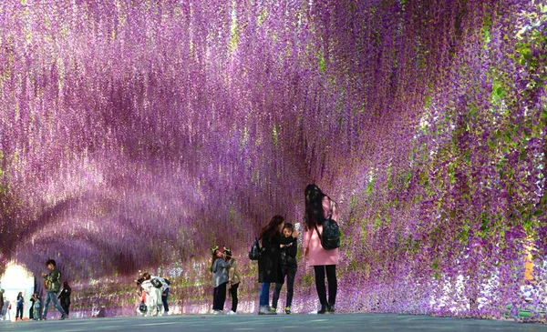 Toeristen Bezoeken Corridor Versierd Met Lavendels Shenyang City Noordoost China — Stockfoto