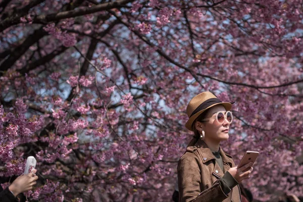 Turista Chinês Gosta Flor Cereja Plena Floração Parque Tóquio Japão — Fotografia de Stock