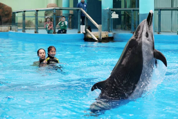 Chinesisches Autistisches Mädchen Chenchen Interagiert Mit Einem Delfin Unter Der — Stockfoto