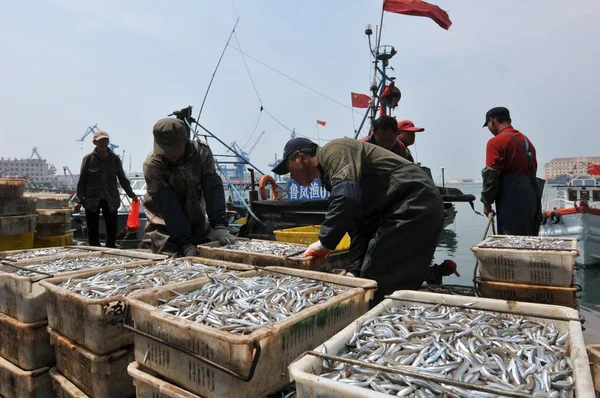 Rybacy Rozładowywać Ryby Makaronem Xiaogang Nabrzeżu Qingdao Miasta Wschodnia Chiny — Zdjęcie stockowe