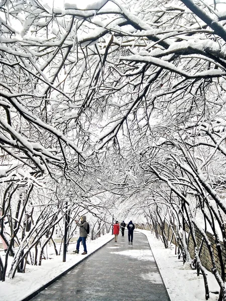 Pedestrians Walk Liuhu Park Snow Pingliang City Northwest China Gansu — Stock Photo, Image