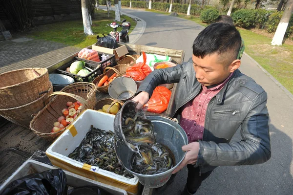 Worker Classifies Food Different Animals Zoo Wuhan City Central China — Stock Photo, Image
