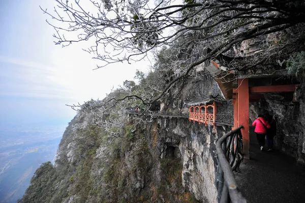 Paisaje Árboles Cubiertos Rimas Montaña Tianmen Montaña Tianmenshan Parque Forestal —  Fotos de Stock