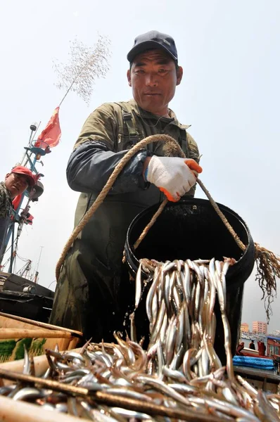 Pescador Descarrega Peixe Macarrão Cais Xiaogang Cidade Qingdao Província Shandong — Fotografia de Stock