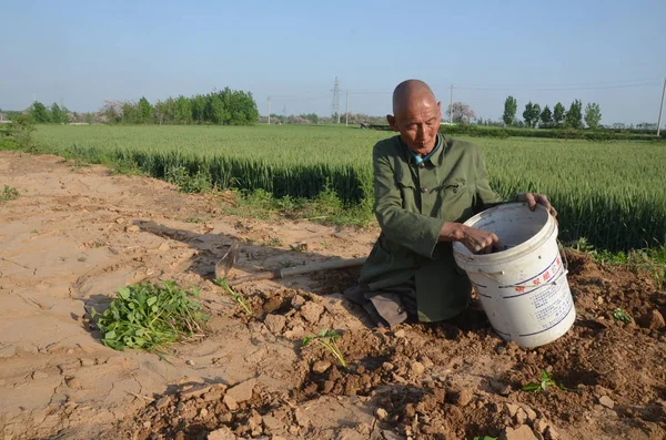 Інваліди Річна Китайська Людина Tiangen Який Зробив Життя Своїй Фермі — стокове фото