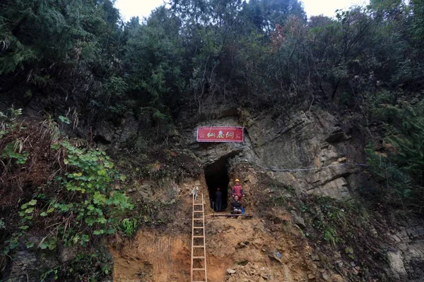 2017年3月8日 中国重庆市云阳县青康村一座1200米高的山上的走廊上 新发现的岩溶洞穴入口景观 2017年3月8日 — 图库照片