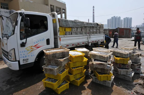 Des Pêcheurs Déchargent Des Nouilles Quai Xiaogang Dans Ville Qingdao — Photo