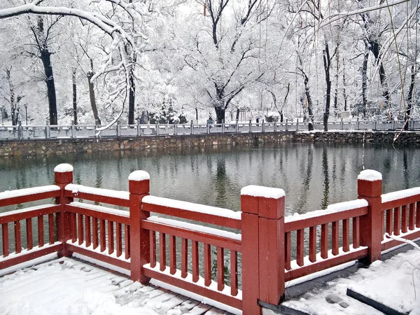 Vue Parc Liuhu Dans Neige Dans Ville Pingliang Province Gansu — Photo