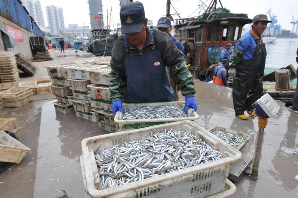 Rybáři Vyloží Nudlová Rybí Rybky Xiaogang Mola Qingdao City Provincii — Stock fotografie