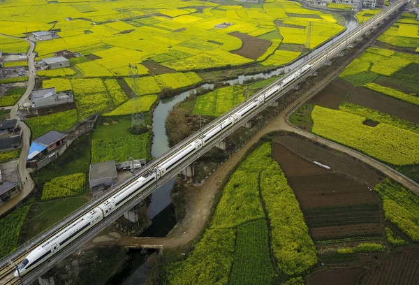 Tren Bala Crh China Railway High Speed Atraviesa Campo Colza —  Fotos de Stock