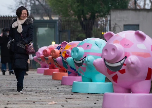 2019年1月6日 在中国东部江苏省南京市中华门东城历史文化街区 一名年轻的中国妇女走过猪形雕塑 — 图库照片