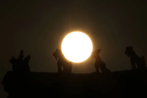 Eclipse Solar Parcial Visto Contra Uma Silhueta Esculturas Cães Prédio — Fotografia de Stock