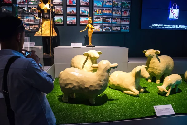 Persone Visitano World Expo Museum Che Trova Sull Sito Dell — Foto Stock