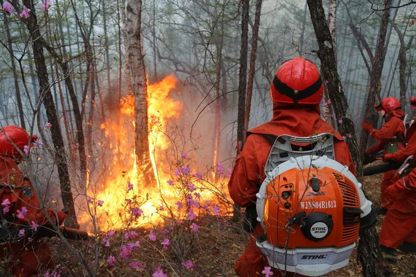 Les Pompiers Chinois Éteignent Incendie Dans Forêt Bilahe Beidahe Dans — Photo