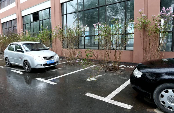 View Parking Spaces Trees Have Been Planted Residental Community Changchun — стоковое фото