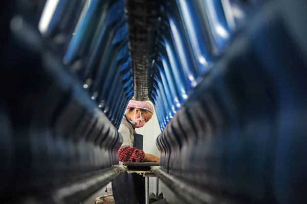 Trabajador Chino Fabrica Instrumentos Musicales Para Ser Exportados Una Fábrica —  Fotos de Stock