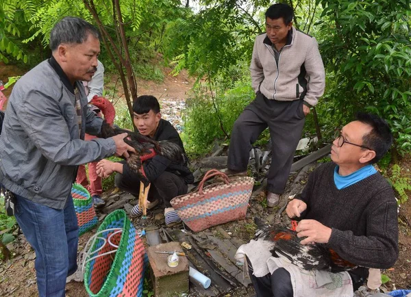 Year Old Chinese Man Zhang Gongding Right Repairs Broken Feathers — Stock Photo, Image