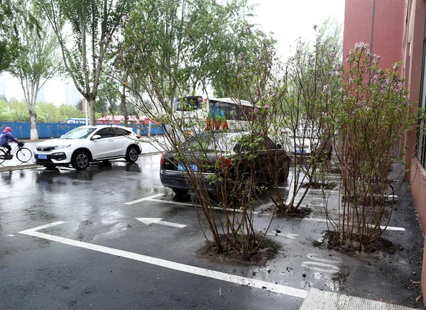 Utsikt Över Parkerings Platser Där Träden Har Planterats Bostads Gemenskap — Stockfoto