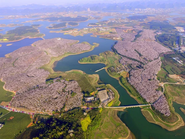 Aerial View Cherry Blossoms Pingba County Anshun City Southwest China — Stock Photo, Image