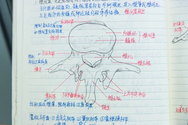 항저우 중국의과에서 그녀의 면역학 해부학 과정에서 중국어 Yanfei에 노트의 중국의 — 스톡 사진