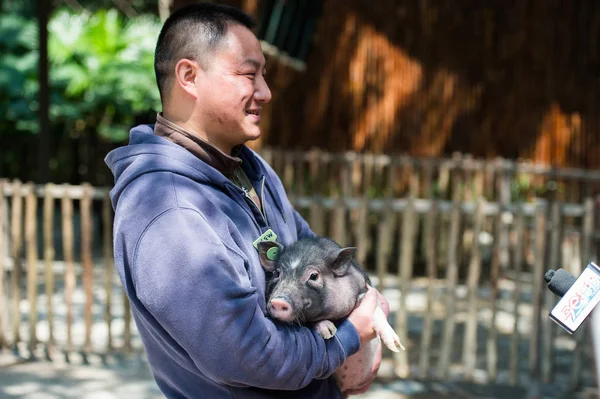 Čínský Držitel Držitelem Kklonového Prasátka Který Byl Klonován Shenzhen Huada — Stock fotografie