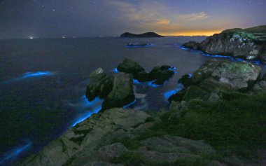  Noctiluca scintillans, commonly known as the sea sparkle, illuminates sea water at Yushan Islands in Xiangshan county, Ningbo city, east China's Zhejiang province, 17 May 2017 clipart