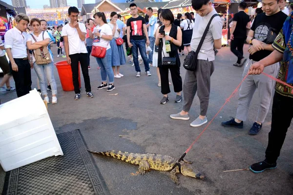 Vendedor Churrasco Beira Estrada Caminha Com Crocodilo Vivo Uma Rua — Fotografia de Stock