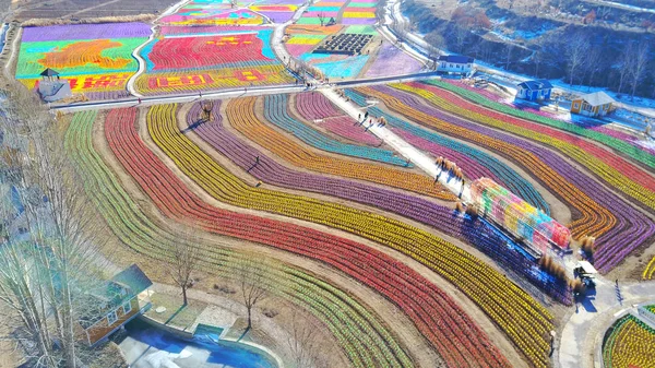 베이징의 지구에 필드에 100만 바람개비로 국기와 문자의 다채로운 패턴의 2016 — 스톡 사진
