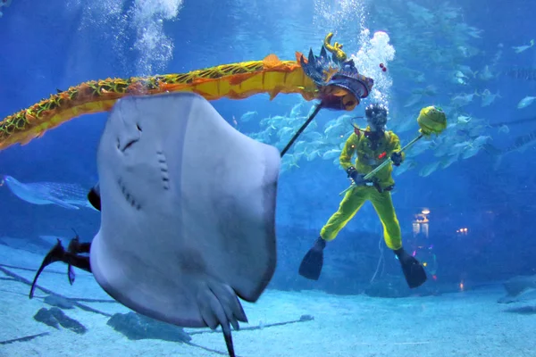 Nurkowie Wykonują Taniec Smoka Rekina Innych Zwierząt Morskich Pod Wodą — Zdjęcie stockowe
