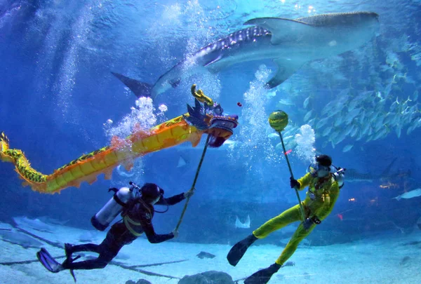 Les Plongeurs Exécutent Une Danse Dragon Avec Requin Autres Animaux — Photo