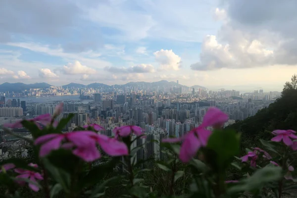 Skyline Tomado Kowloon Peak Muestra Vista Kowloon Con Edificios Gran —  Fotos de Stock