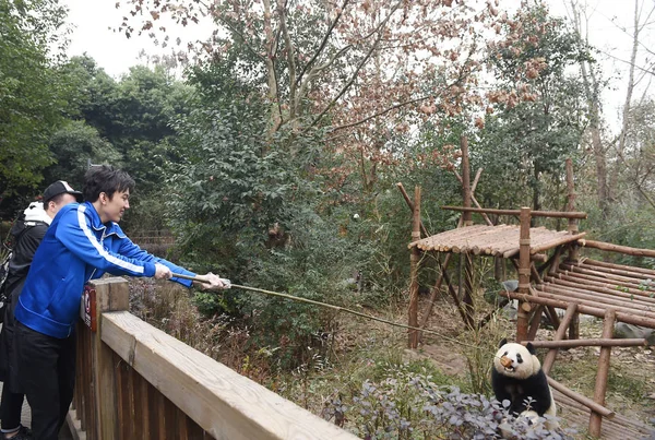 Kazakh Singer Dimash Kudaibergenov Tries Feed Panda Chengdu City Southwest — Stock Photo, Image