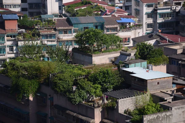 Kilátás Tetőtéri Kertek Illegálisan Épített Lakás Tulajdonosai Lakóépületek Guiyang Város — Stock Fotó