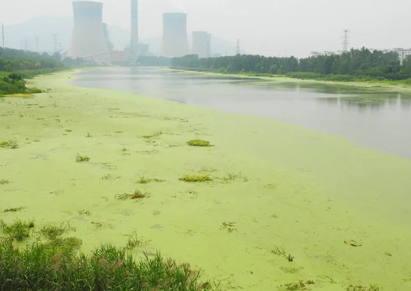 View Huaimu River Covered Aquatic Weeds Lianyungang City East China — стоковое фото