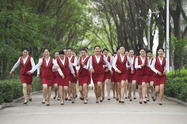 Graduadas Sexo Feminino Comissários Bordo Major Vestida Com Uniformes Aeromoça — Fotografia de Stock