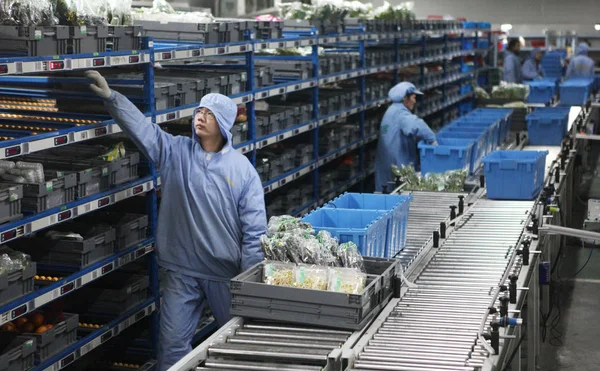 Empleados Chinos Distribuyen Vegetales Otros Productos Agrícolas Para Compradores Línea — Foto de Stock