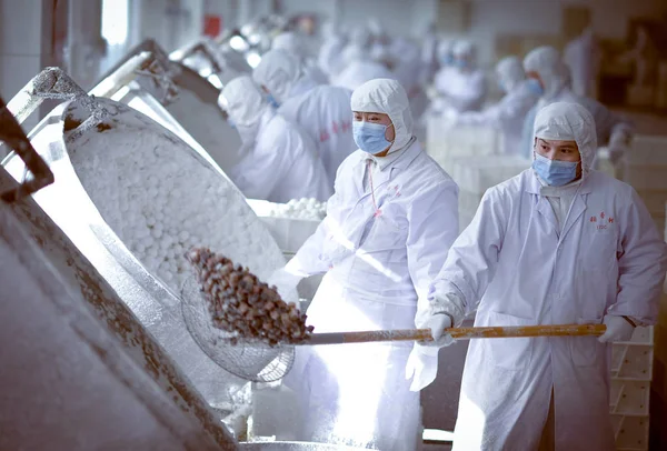 Trabajador Chino Pone Rellenos Bolas Arroz Glutinoso También Conocido Como —  Fotos de Stock