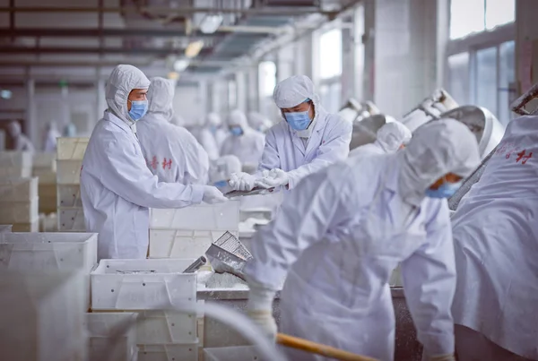 Trabajadores Chinos Revisan Bolas Arroz Glutinosas También Conocidas Como Yuanxiao —  Fotos de Stock