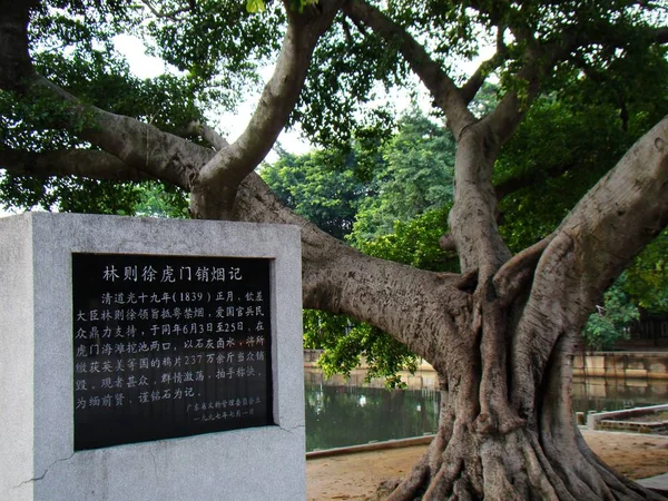 View Site Pool Burning Opium Stocks Humen Zhenkou Village Humen — стоковое фото